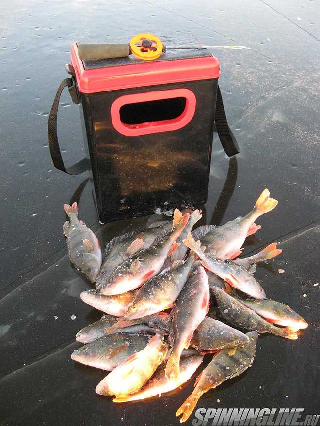 Изображение 1 : Ящики и рюкзаки для зимней рыбалки