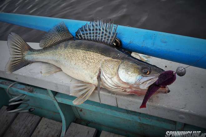Изображение 1 : Нижегородский рыболов № 4. Анонс