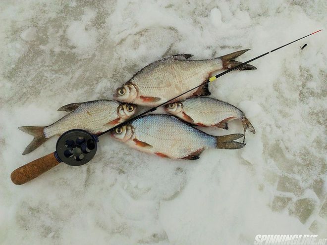 Изображение 1 : Нижегородский рыболов № 2 (67). Анонс