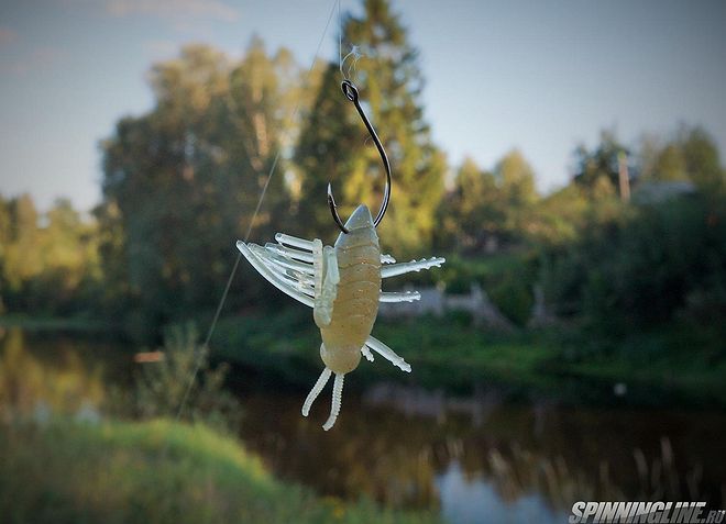 Изображение 1 : Повелитель мух